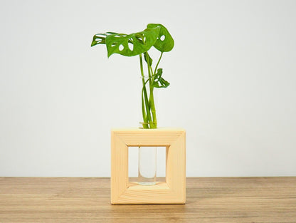 Vaso Propagatore Frame