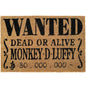 Doormat - One Piece (Wanted) Indoor and Outdoor Entrance Mat, Funny Coconut and Non-Slip PVC Base for Kids' Room Bathroom 40X60Cm