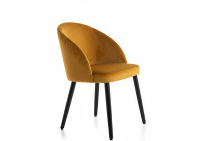 Sedie imbottita - Design
