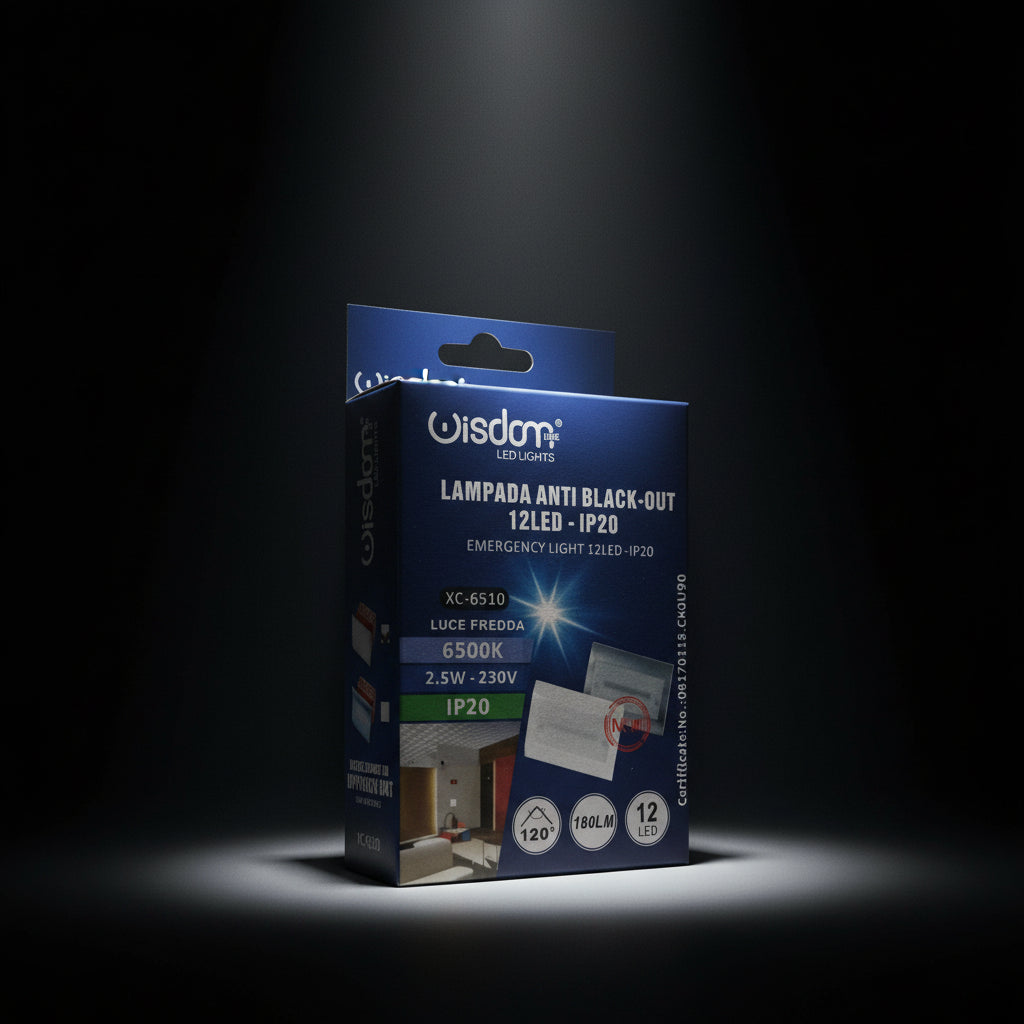 Wisdom Notleuchte LED Weiß 2,5W Einbauleuchte Unterputzdose 503 | Weiß
