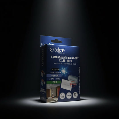 Wisdom Notleuchte LED Weiß 2,5W Einbauleuchte Unterputzdose 503 | Weiß