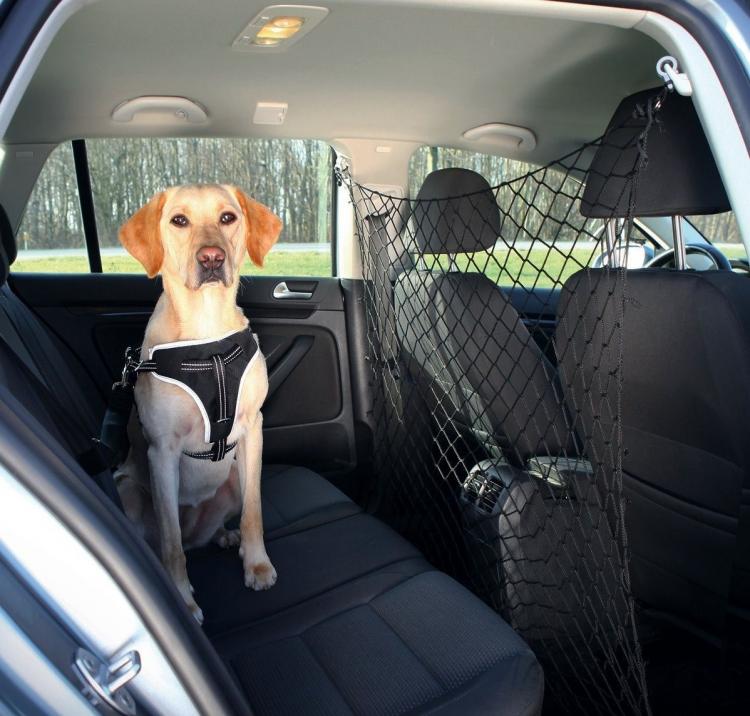 Netztrennwand Kofferraum Autoschutz für Tiere Hunde Katzen 100x100