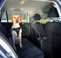 Mesh Divider for Car Boot Transport of Luggage, Goods, Animals, Dogs, Cats 100X100
