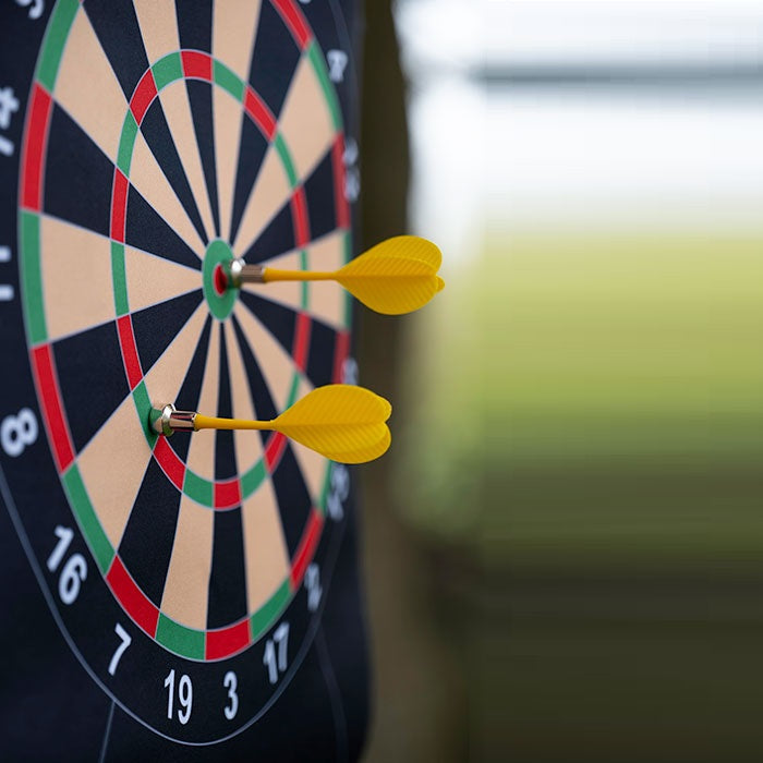 Wayfarer - 6 magnetische Dartpfeile mit magnetischer Dartscheibe