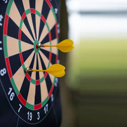 Wayfarer - 6 magnetische Dartpfeile mit magnetischer Dartscheibe