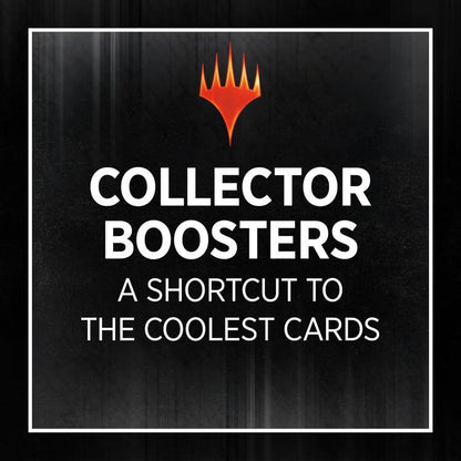 Magic: The Gathering - Murders At Karlov Manor „Collector Booster“ Box Eng