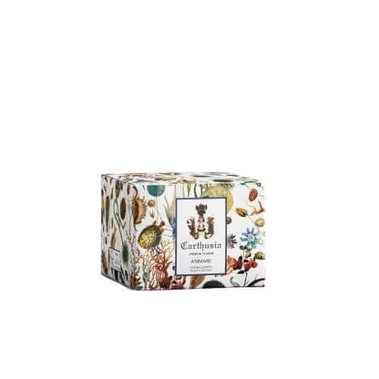 A'MMARE Body Cream