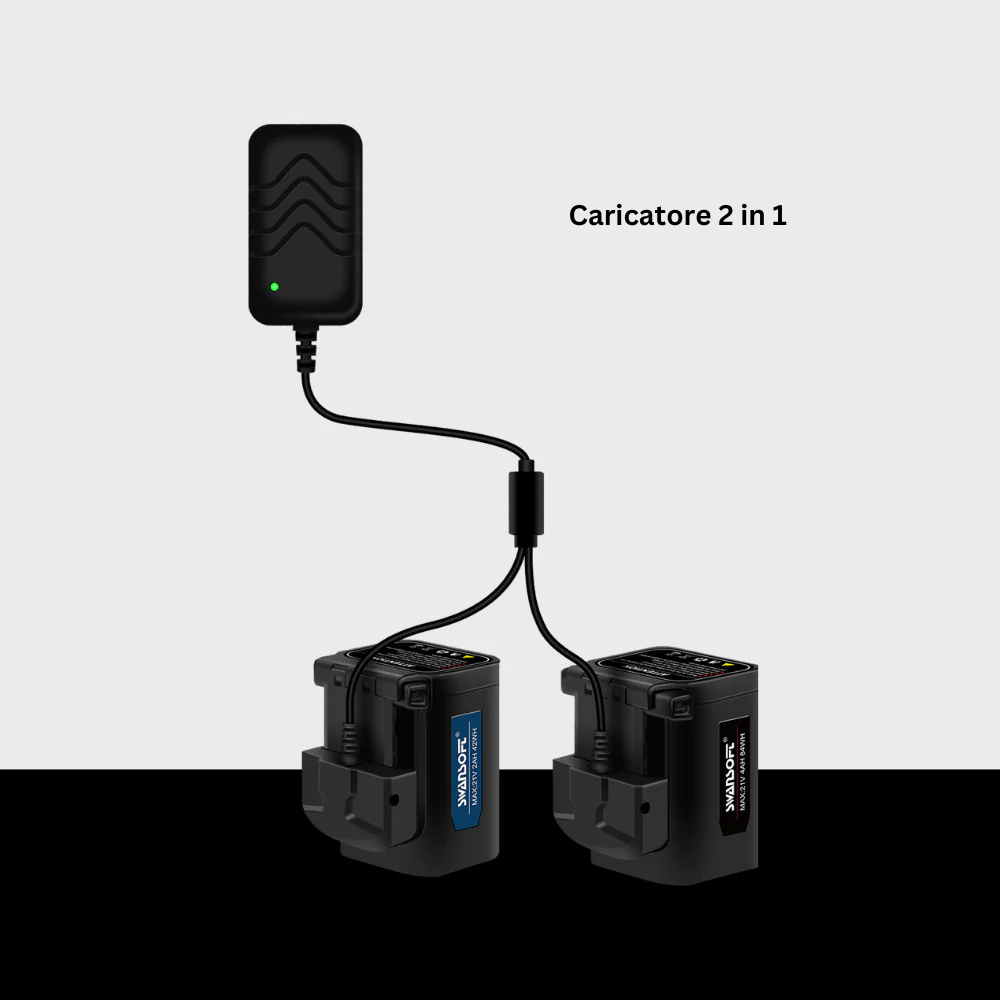 Legatrice elettronica Swansoft SW-B12