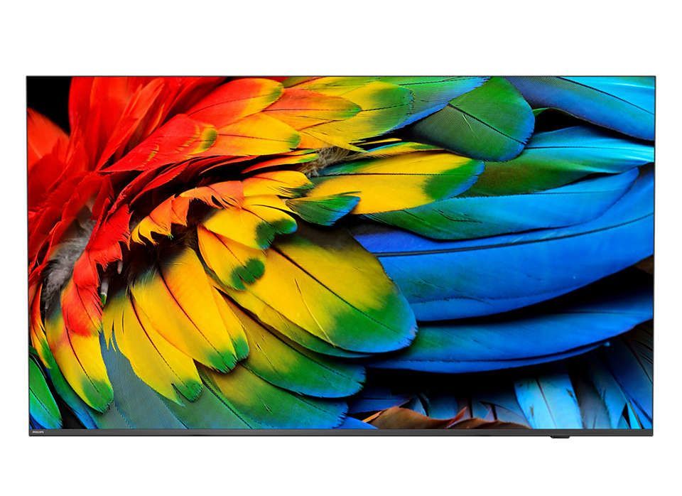 Philips 43HFL6214U 109,2 cm (43") 4K Ultra HD Smart TV Wi-Fi Antracite 400 cd/m Display arrotolabile [43HFL6214U/12]