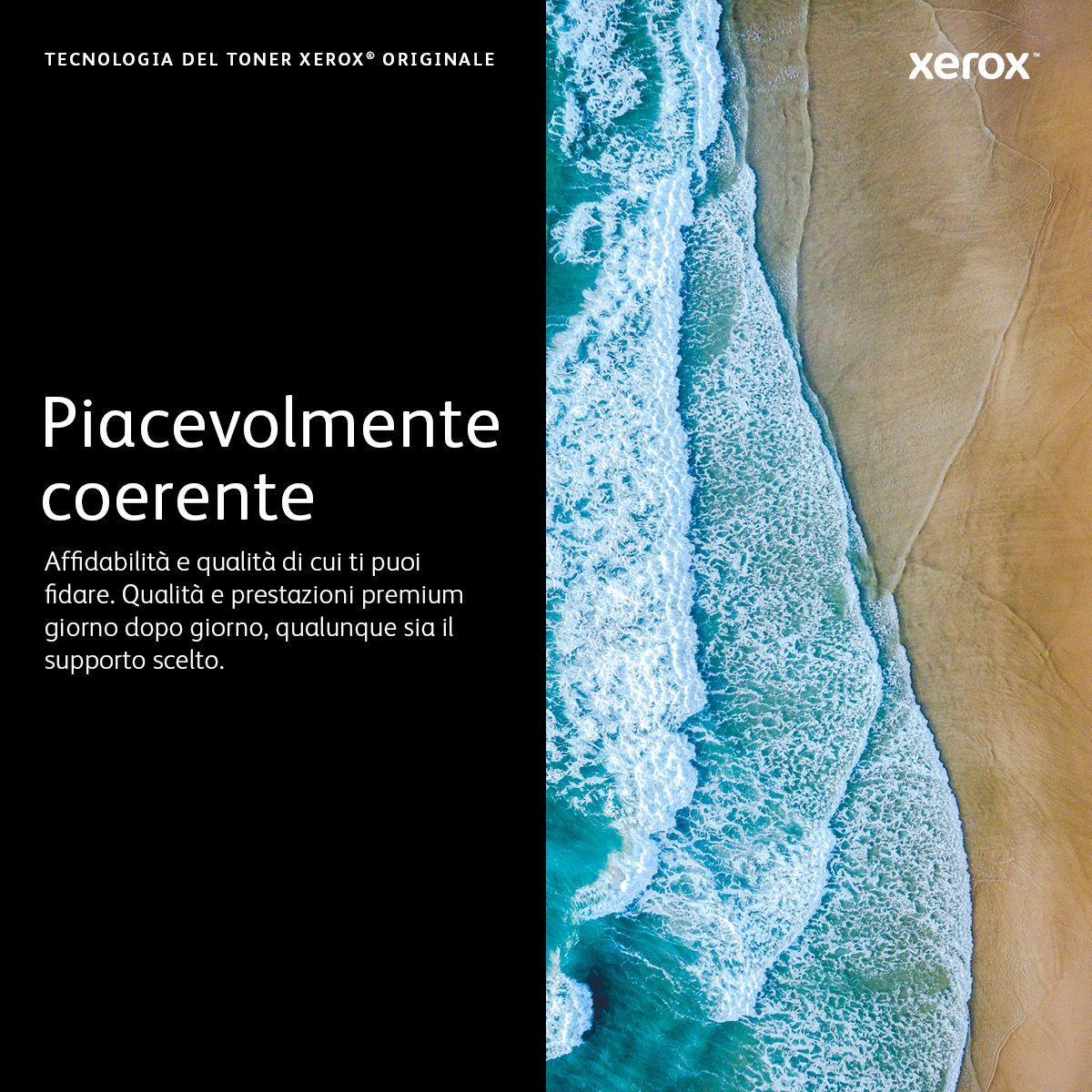 Xerox Cartuccia toner Nero a Alta capacità da 3000 Pagine per Stampante  B210, Stampante multifunzione  B205/  B215 (106R04347) [106R04347]