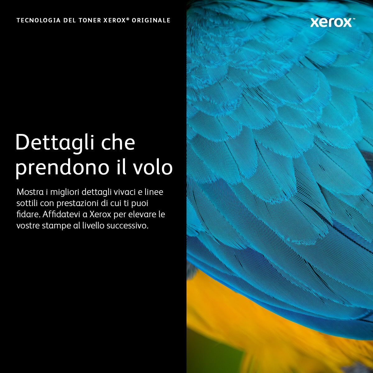 Xerox Cartuccia toner Nero a Alta capacità da 3000 Pagine per Stampante  B210, Stampante multifunzione  B205/  B215 (106R04347) [106R04347]
