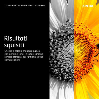 Xerox Cartuccia toner Nero a Alta capacità da 3000 Pagine per Stampante  B210, Stampante multifunzione  B205/  B215 (106R04347) [106R04347]