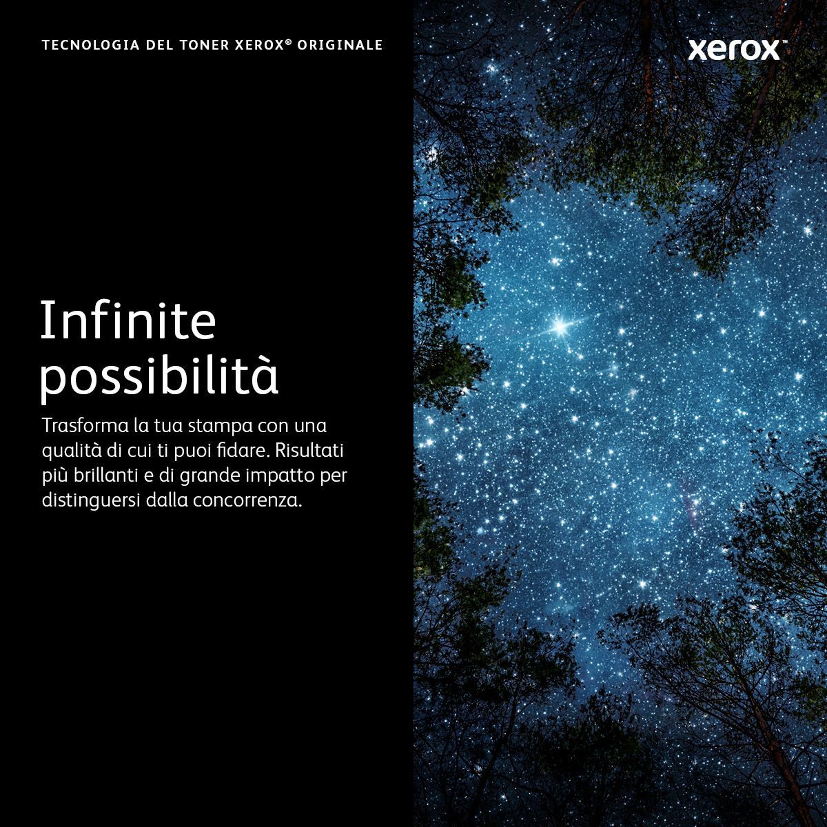 Xerox Cartuccia toner Nero a Capacità standard da 3000 Pagine per Stampante  B310, Stampante multifunzione  B305/  B315 (006R04376) [006R04376]