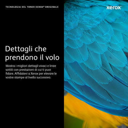 Xerox Cartuccia toner Nero a Capacità standard da 3000 Pagine per Stampante  B310, Stampante multifunzione  B305/  B315 (006R04376) [006R04376]
