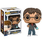 Funko Pop! Harry Potter - (32) Harry W/Prophecy Vinyl Figure 9cm