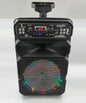 LED AMPLIFIED KARAOKE SPEAKER TROLLEY BLUETOOTH USB SD WITH MICROPHONE REMOTE CONTROL