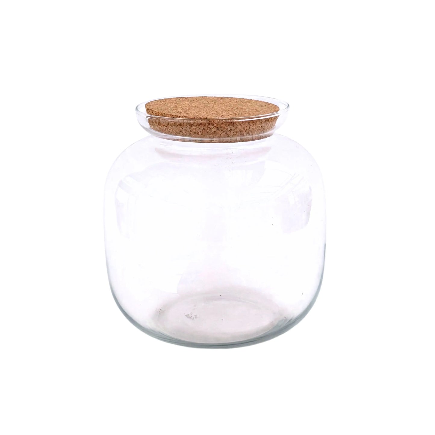Großes Glasgefäß für Terrarien, mundgeblasen