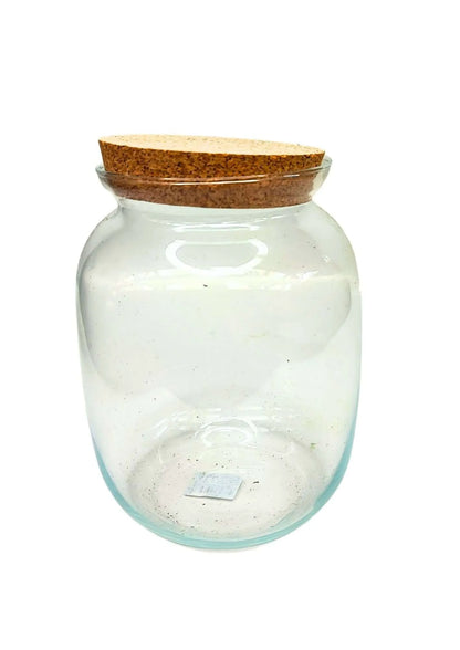 Contenitore Medio in Vetro Soffiato per Terrarium