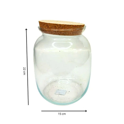 Contenitore Medio in Vetro Soffiato per Terrarium