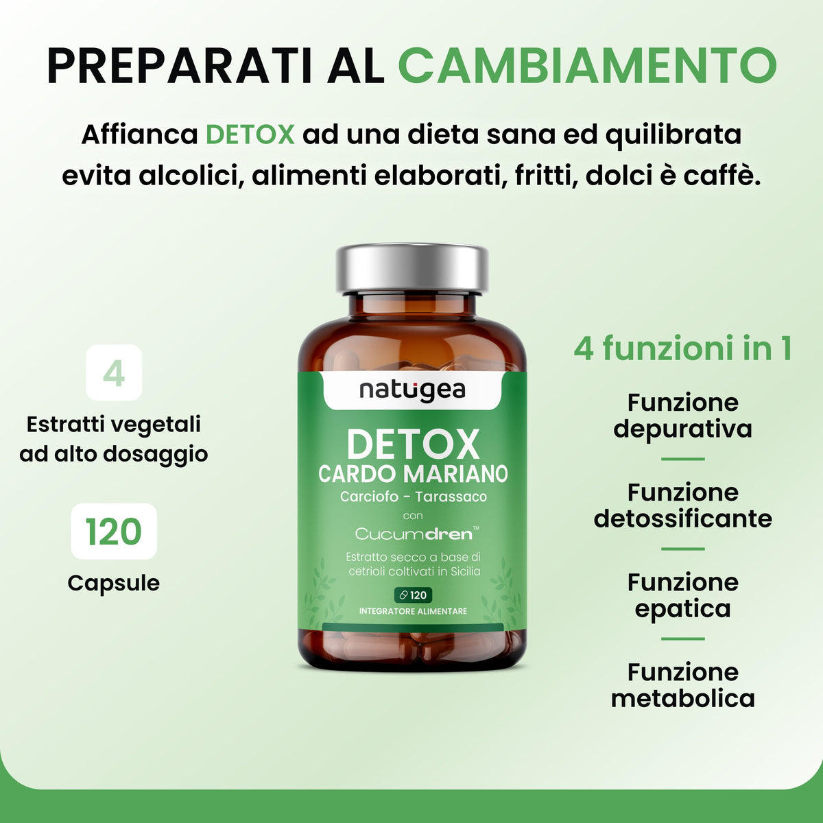Integratore con Cardo Mariano, Carciofo e Tarassaco – Funzione Epatica e Digestiva – Drenaggio Liquidi – 120 Capsule Vegane