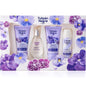 Tulipan Negro Sweet Viola Gift Set Perfume Shower Gel Deodorant Body Cream