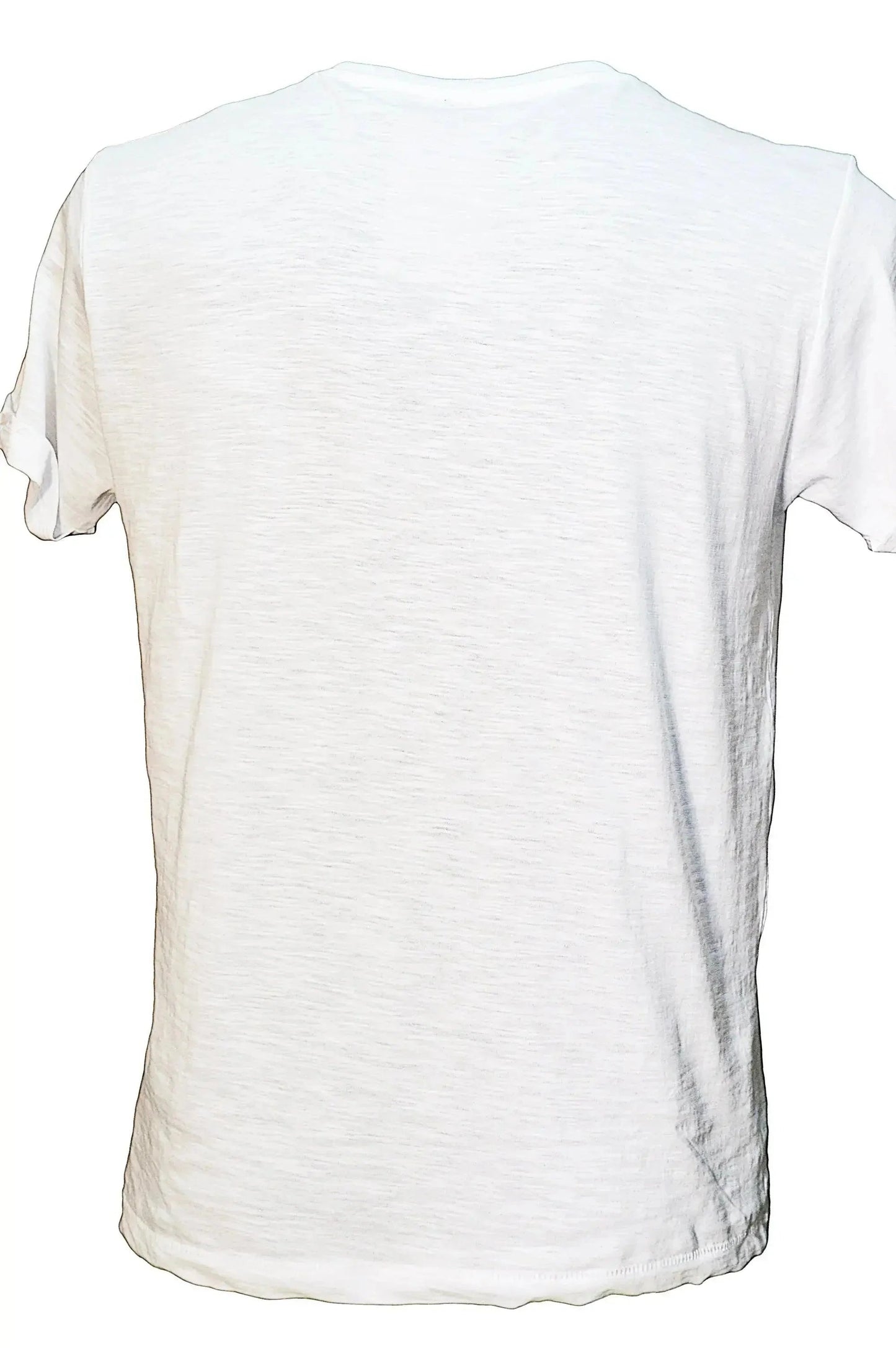 T-Shirt Einstein Tatuato Uomo - Cotone Biologico Fiammato