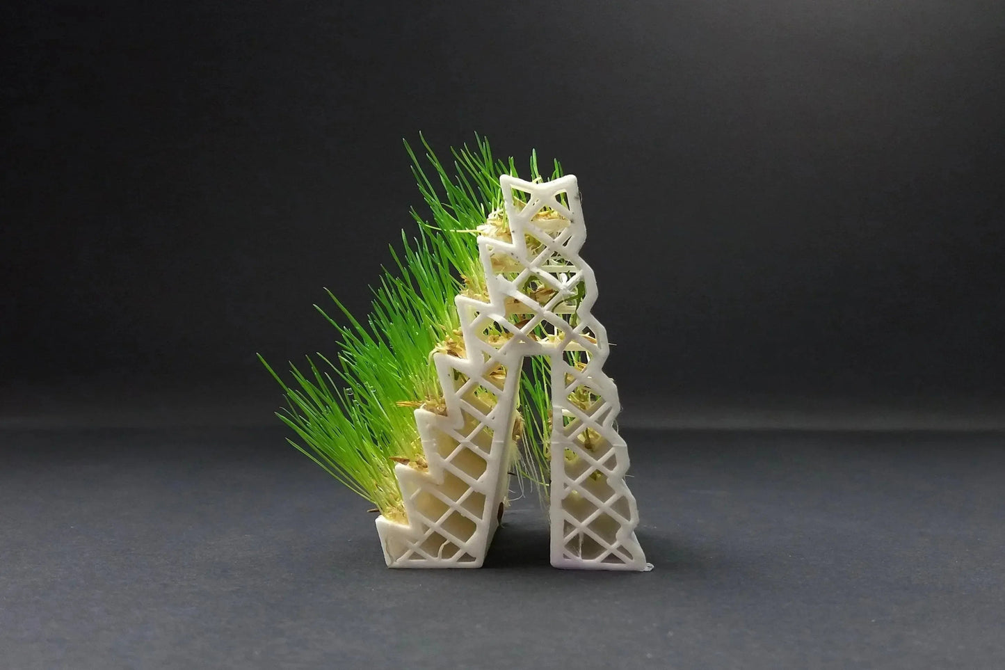 FILAMENTO LAYFILAMENTS GROWLAY - 1,75 MM - 250 G - BIANCO
