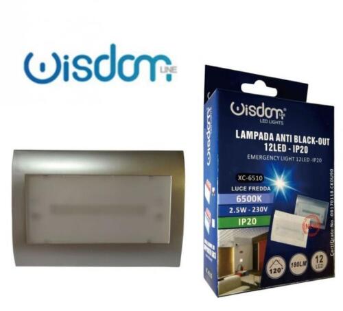Wisdom Notleuchte LED Weiß 2,5W Unterputzmontage Dose 503 |Silber