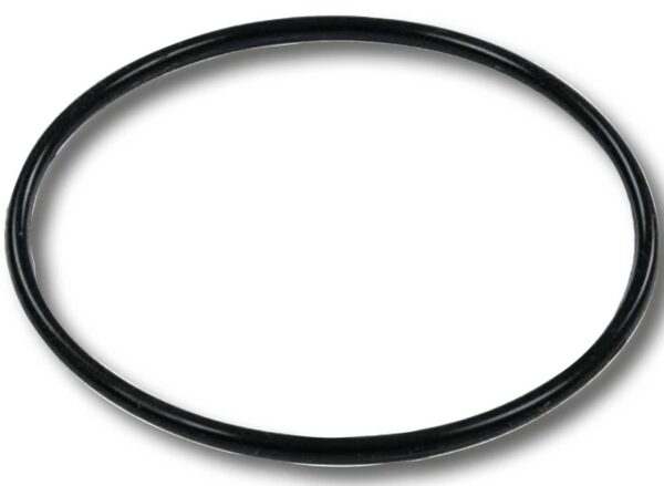 Guarnizione O-Ring Filtro a Sabbia 58515, Ricambio Compatibile Bestway