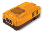 Charger 16V CDLI16682 M16 – Output 16V 1.3A, Reliable and Safe