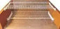 Pairs nets cm76 w/white drip 0042