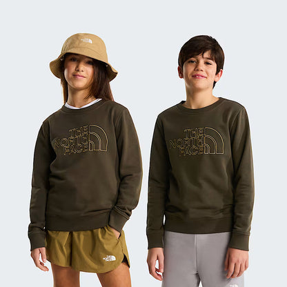 The North Face Felpa Drew Peak Junior Verde New Taupe Green - NF0A8AXX21L