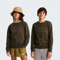 The North Face Drew Peak Junior Hoodie Green New Taupe Green - NF0A8AXX21L