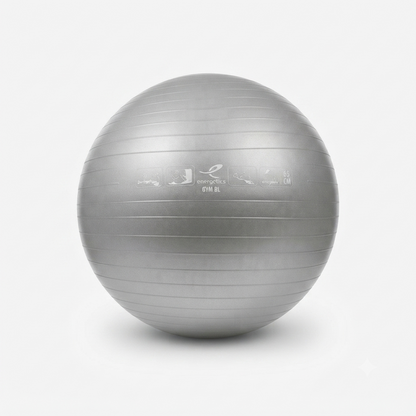 Energetics FITBALL 65cm Diameter Ball 145063-869 Silver