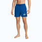 Nike Men's 5" Volley Logo Lap Royal Blue Swim Trunks - NESSG574-494