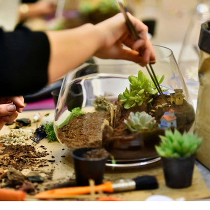 DIY Terrarium-Set mit Sukkulenten, komplett