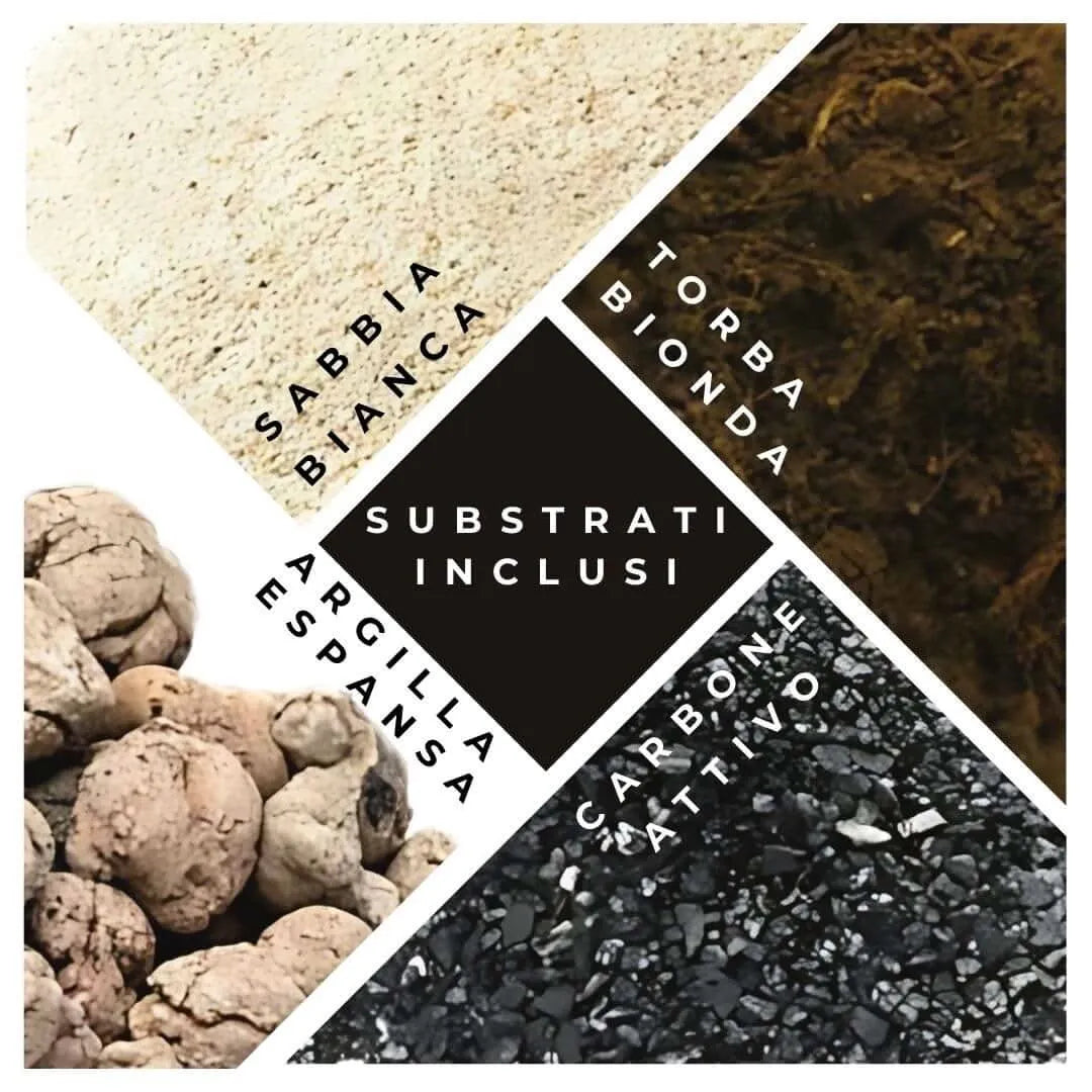 DIY Terrarium-Set mit Sukkulenten, komplett