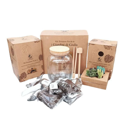 DIY Terrarium-Set mit Sukkulenten, komplett