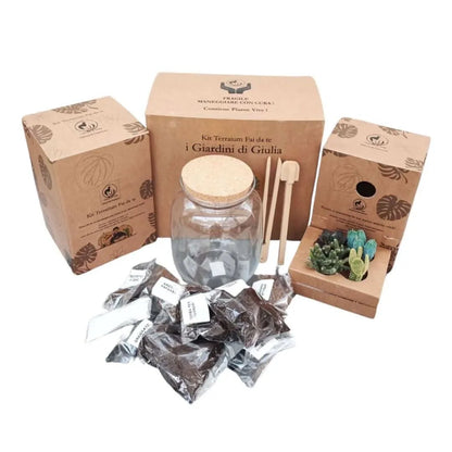 DIY Terrarium-Set mit Sukkulenten, komplett