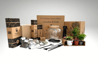 Terrarium-DIY-Komplettset Master | Das Super-Set für einen einzigartigen Glasgarten