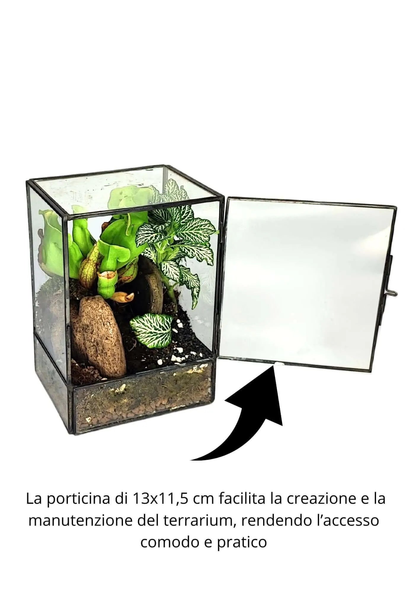 Geometrisches Terrarium-Bausatz zum Selbermachen ADA | Gestalte deinen eigenen Indoor-Garten