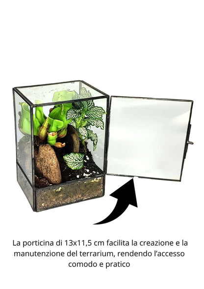 Geometrisches Terrarium-Bausatz zum Selbermachen ADA | Gestalte deinen eigenen Indoor-Garten