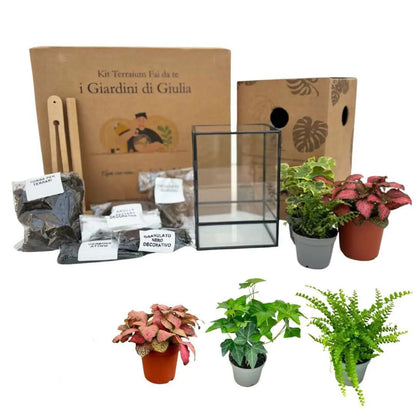 Geometrisches Terrarium-Bausatz zum Selbermachen ADA | Gestalte deinen eigenen Indoor-Garten