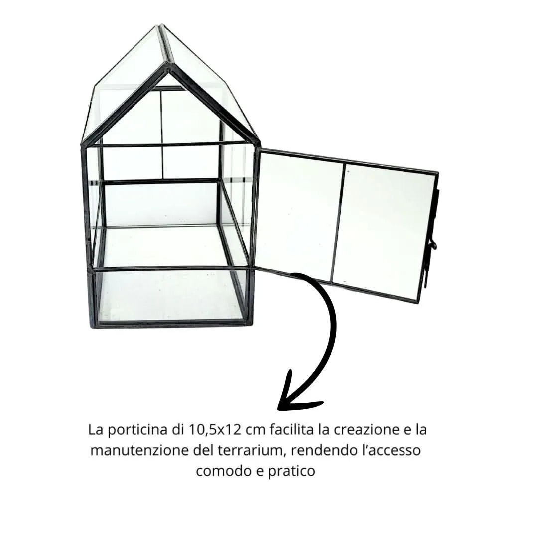 Kit Terrarium Geometrico Fai Da Te Beatrice Piante grasse