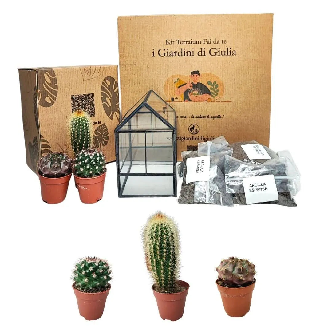 Kit Terrarium Geometrico Fai Da Te Beatrice Piante grasse