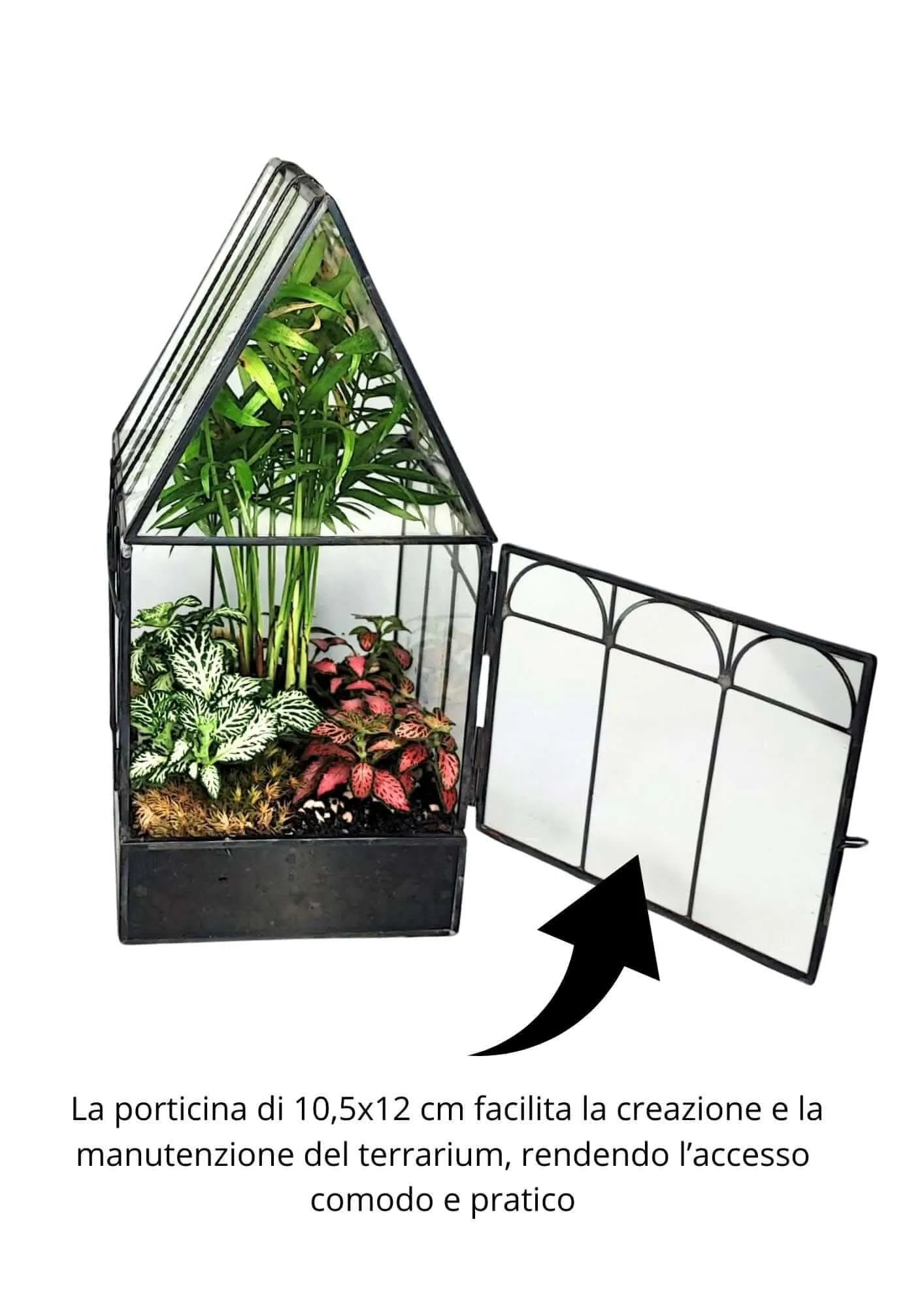 Geometrisches Terrarium-Bastelset mit 4 Pflanzen