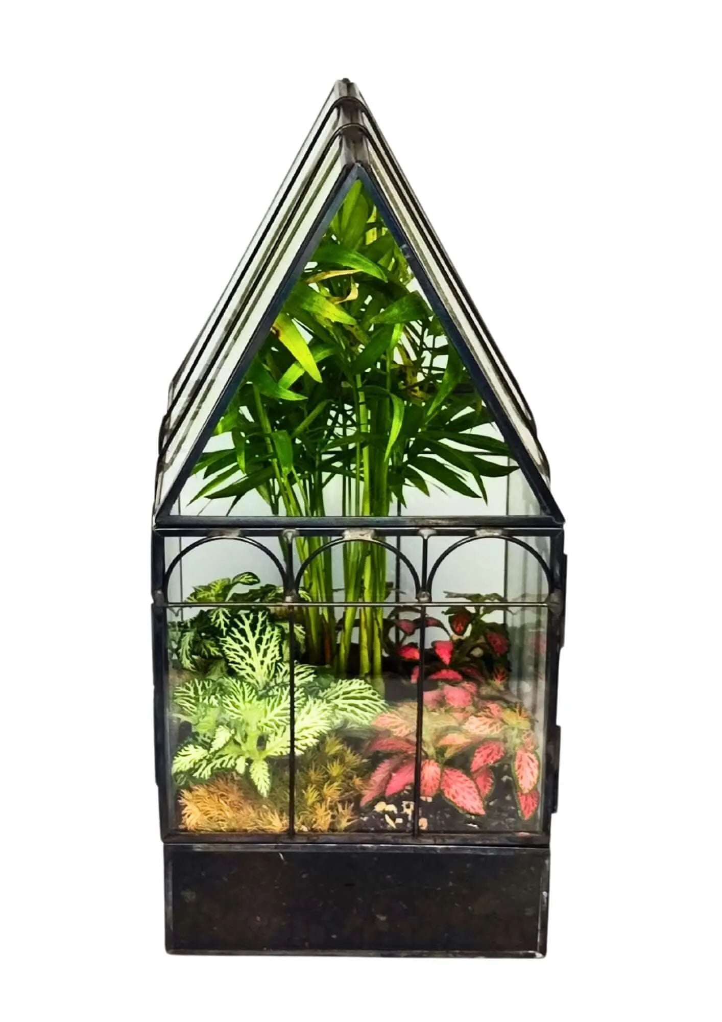 Geometrisches Terrarium-Bastelset mit 4 Pflanzen