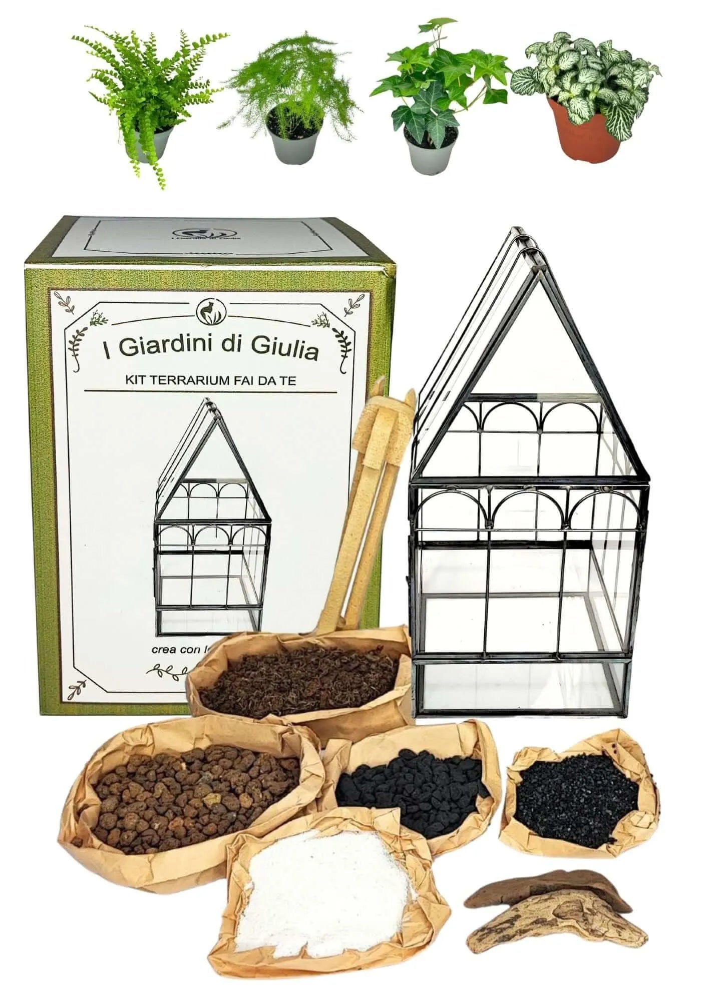 Geometrisches Terrarium-Bastelset mit 4 Pflanzen