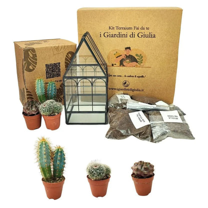 Geometrisches Terrarium-Bastelset Jade Sukkulenten