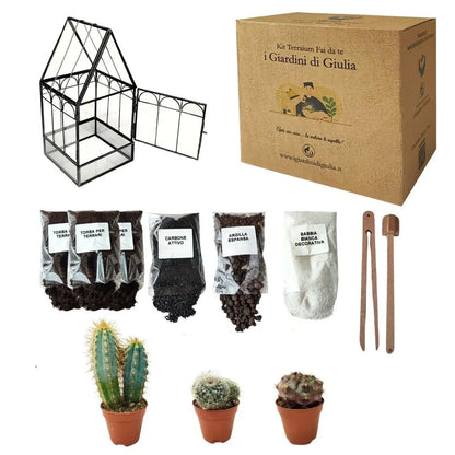 Geometrisches Terrarium-Bastelset Jade Sukkulenten